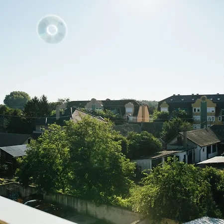 Sunflower * 松博尔