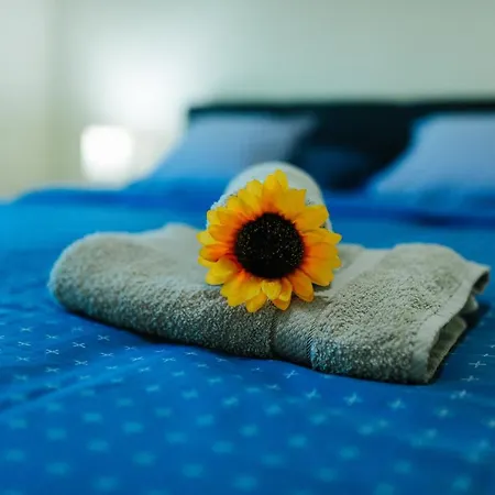 Apartment Sunflower *