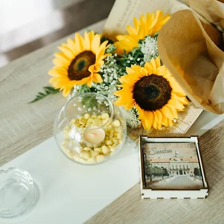 Sunflower Apartment