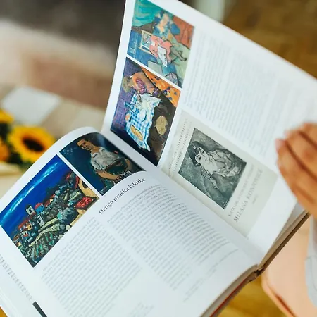 公寓 Sunflower 松博尔