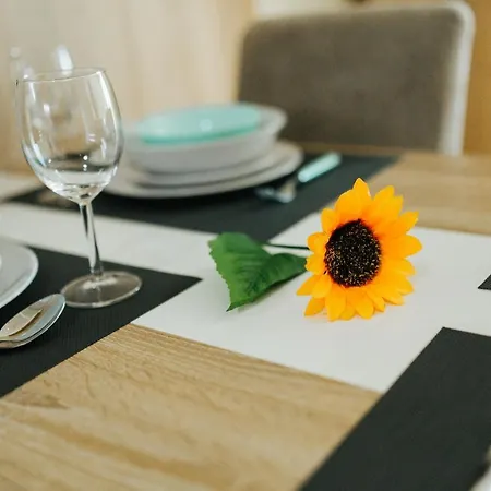 公寓 Sunflower 松博尔