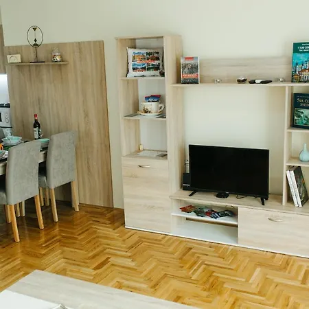 Sunflower Apartment