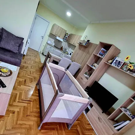 Sunflower * 松博尔